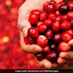کرن بری تازه چیده شده و روشن و قرمز