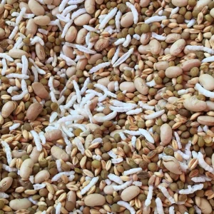 آجیل سلامت شاهدانه، گندم، سویا، برنجک، عدس 250گرم