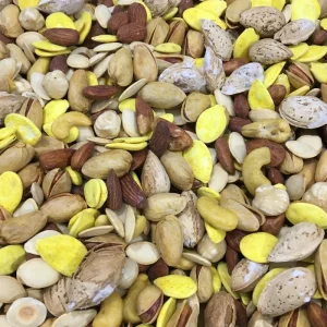 آجیل شور (فندق با پوست، بادام هندی با پوست، پسته با پوست، تخمه، بادام منقی)
