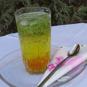 شربت سکنجبین عسلی 820گرم