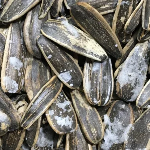 تخمه آفتابگردان دور سفید 2 آتیشه (نمکی) 250گرم