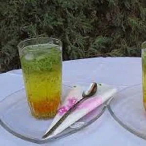 شربت سکنجبین 1350گرم