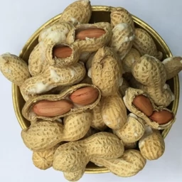 بادام زمینی با پوست نمکی استانه