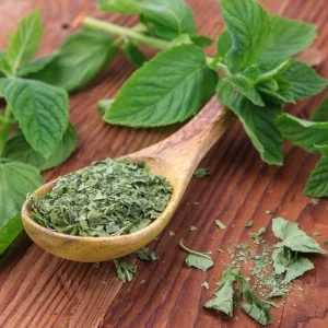 برگ نعنا خشک خونگی