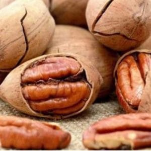 گردو پکان با پوست پیازی رست شده وانیلی