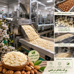 پرک بادام درختی (محصول عمده) 10 کیلوگرم