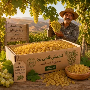 کشمش قلمی زرد امساله (حجم عمده) 9 کیلوگرم